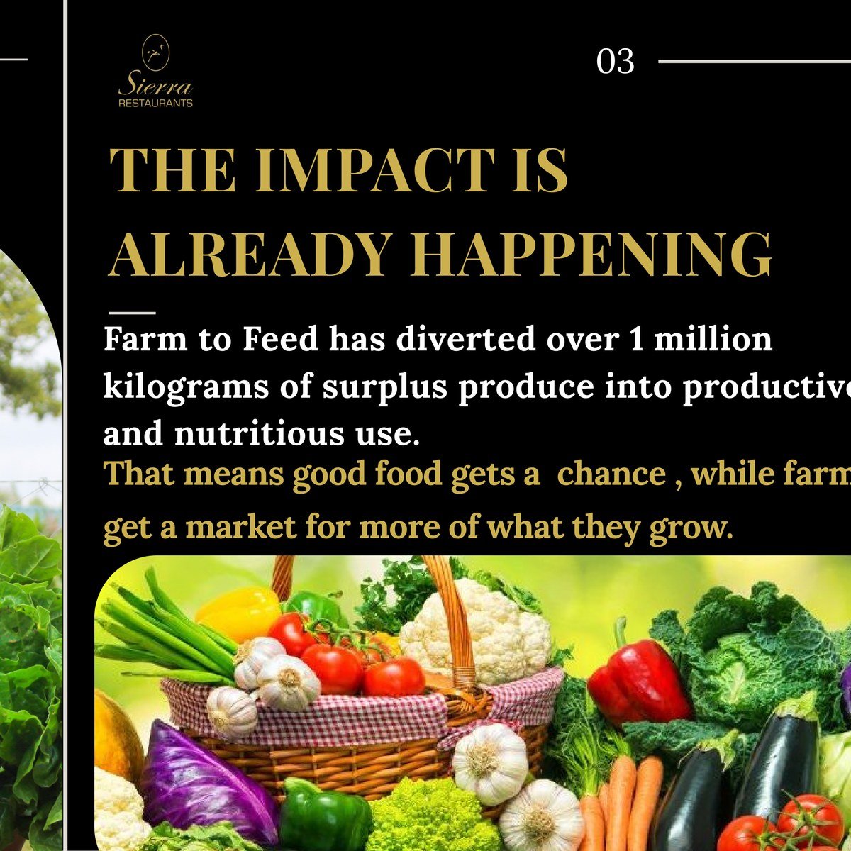 The impact — over 1 million kilograms of surplus produce diverted