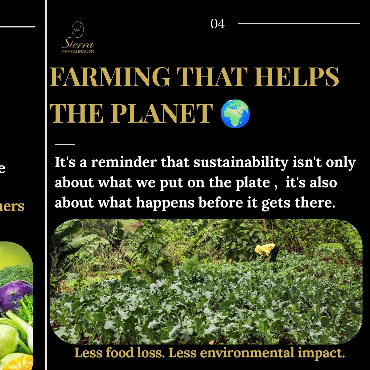 Farming that helps the planet — less food loss, less environmental impact