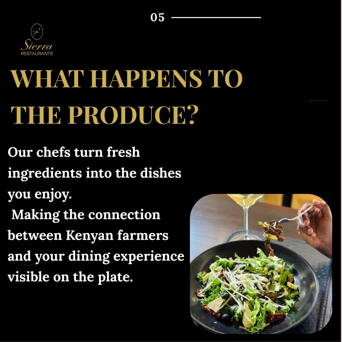 What happens to the produce — Sierra chefs turn fresh ingredients into finished dishes